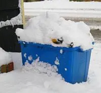 snowwaste